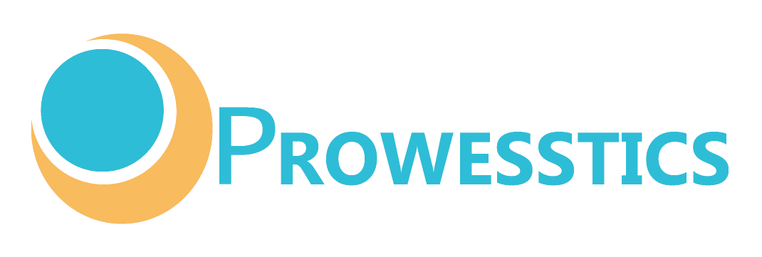 Prowesstics IT Service